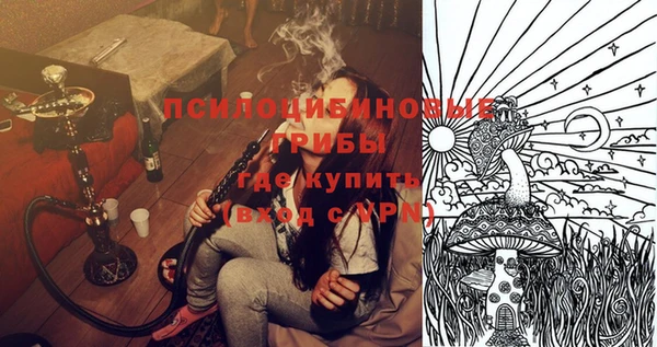 дурь Белокуриха