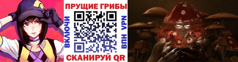 Галлюциногенные грибы Cubensis  Куровское 
